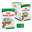 Royal Canin Dog Mini Ageing 12+ 85g Pouch