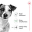 Royal Canin Dog Mini Ageing 12+ 85g Pouch
