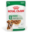 Royal Canin Dog Mini Ageing 12+ 85g Pouch