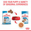 Royal Canin Dog Medium Puppy 140g Pouch