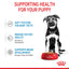 Royal Canin Dog Maxi Puppy 140g Pouch