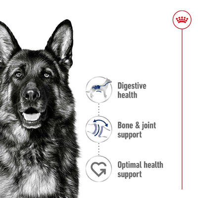 Royal Canin Dog Maxi Adult 140g Pouch