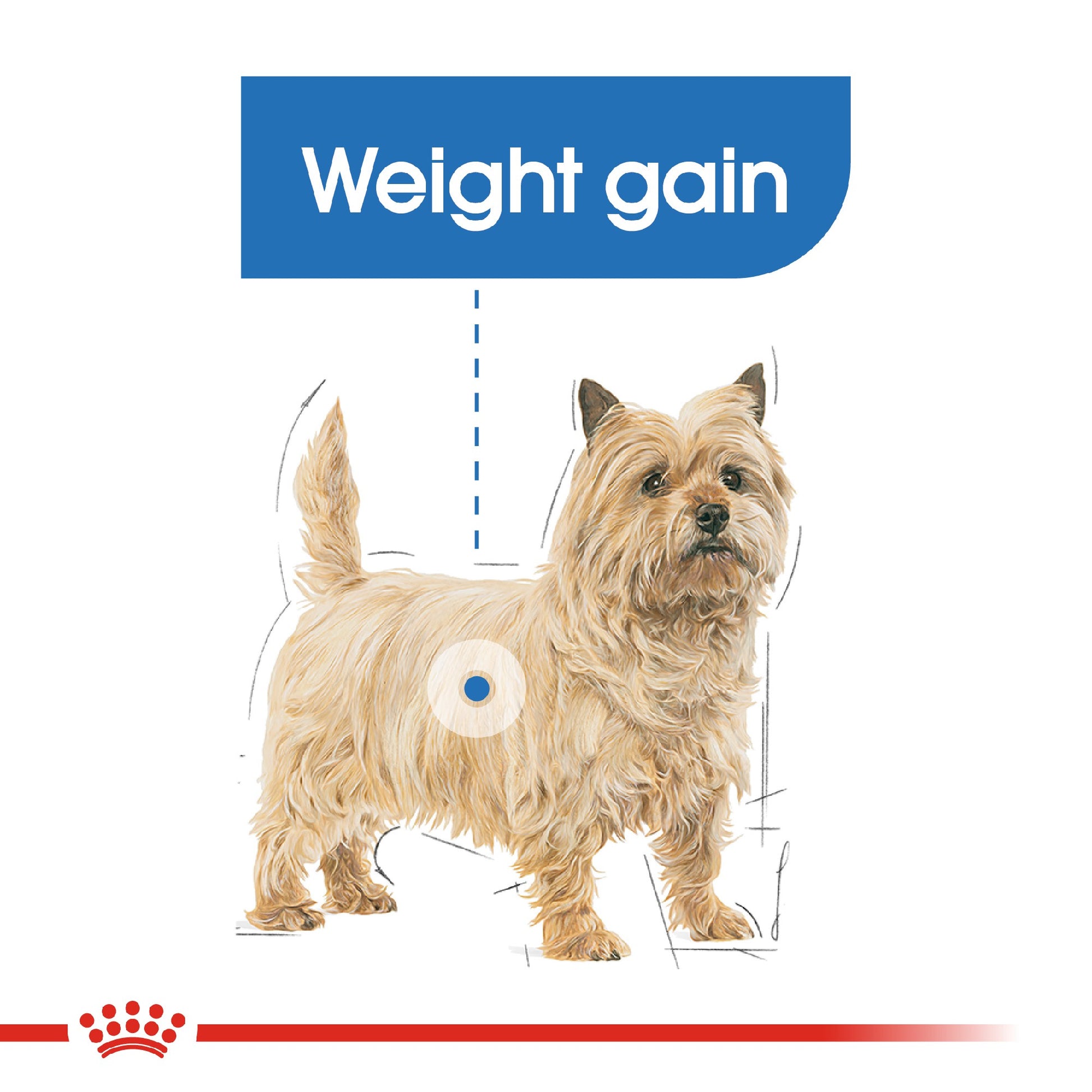 Royal Canin Dog Light Weight Care Loaf 85g Pouch 