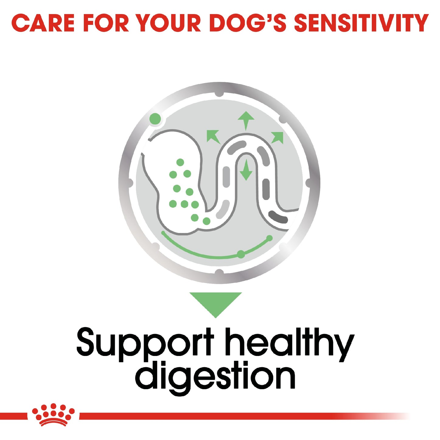 Royal Canin Dog Digestive Care Loaf 85g Pouch 