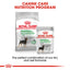 Royal Canin Dog Digestive Care Loaf 85g Pouch 