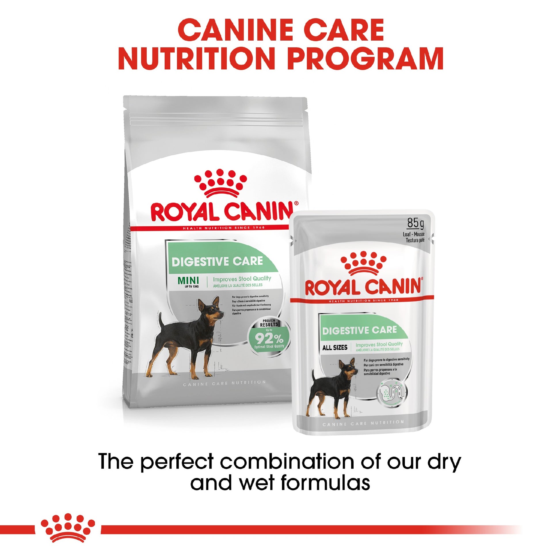 Royal Canin Dog Digestive Care Loaf 85g Pouch 