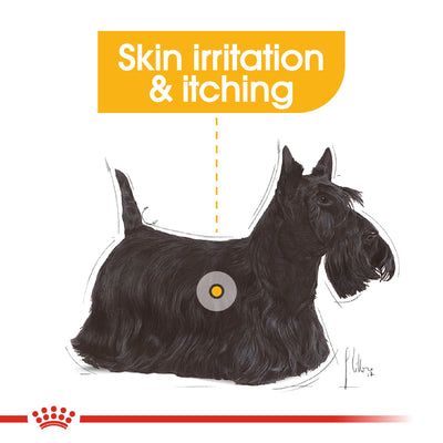 Royal Canin Dog Dermacomfort 85g Pouch 