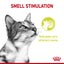 Royal Canin Cat Sensory Smell Gravy Feline 85g Pouch