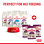 Royal Canin Cat Sensory Smell Gravy Feline 85g Pouch