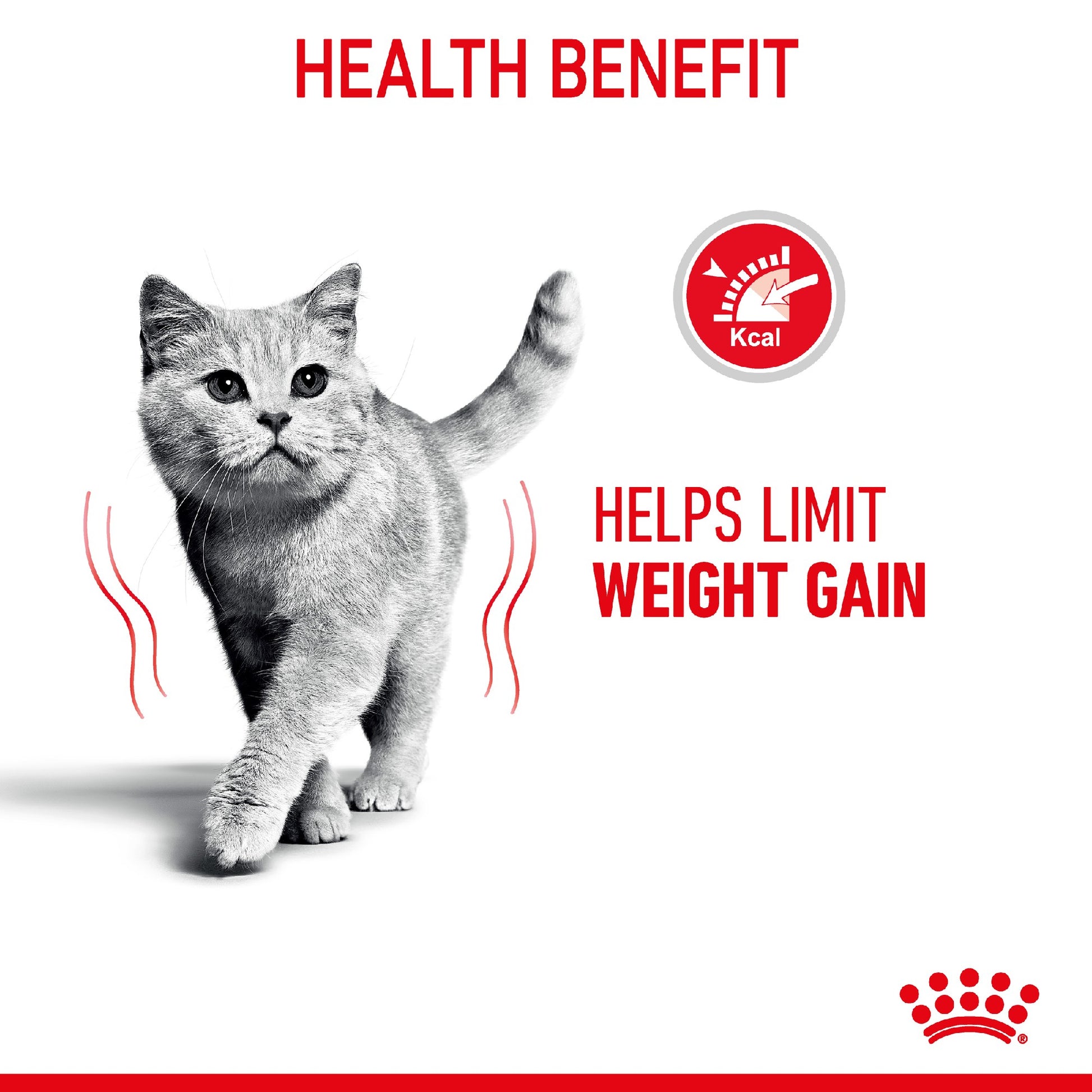 Royal Canin Cat Light 85g Pouch