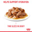 Royal Canin Cat Light 85g Pouch