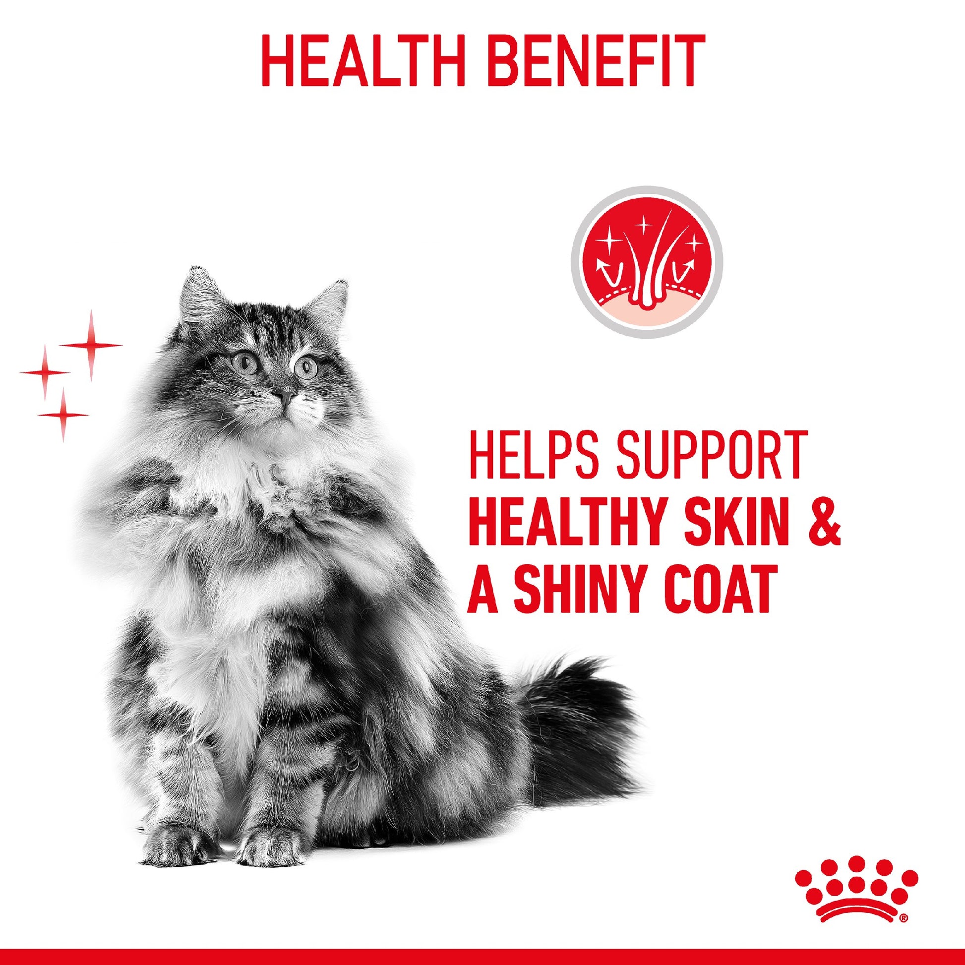 Royal Canin Cat Hair & Skin 85g Pouch