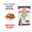 Royal Canin Cat Digest Sensitive Gravy 85g Pouch