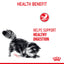 Royal Canin Cat Digest Sensitive Gravy 85g Pouch