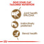 Royal Canin Cat Ageing 12+ Jelly 85g Pouch