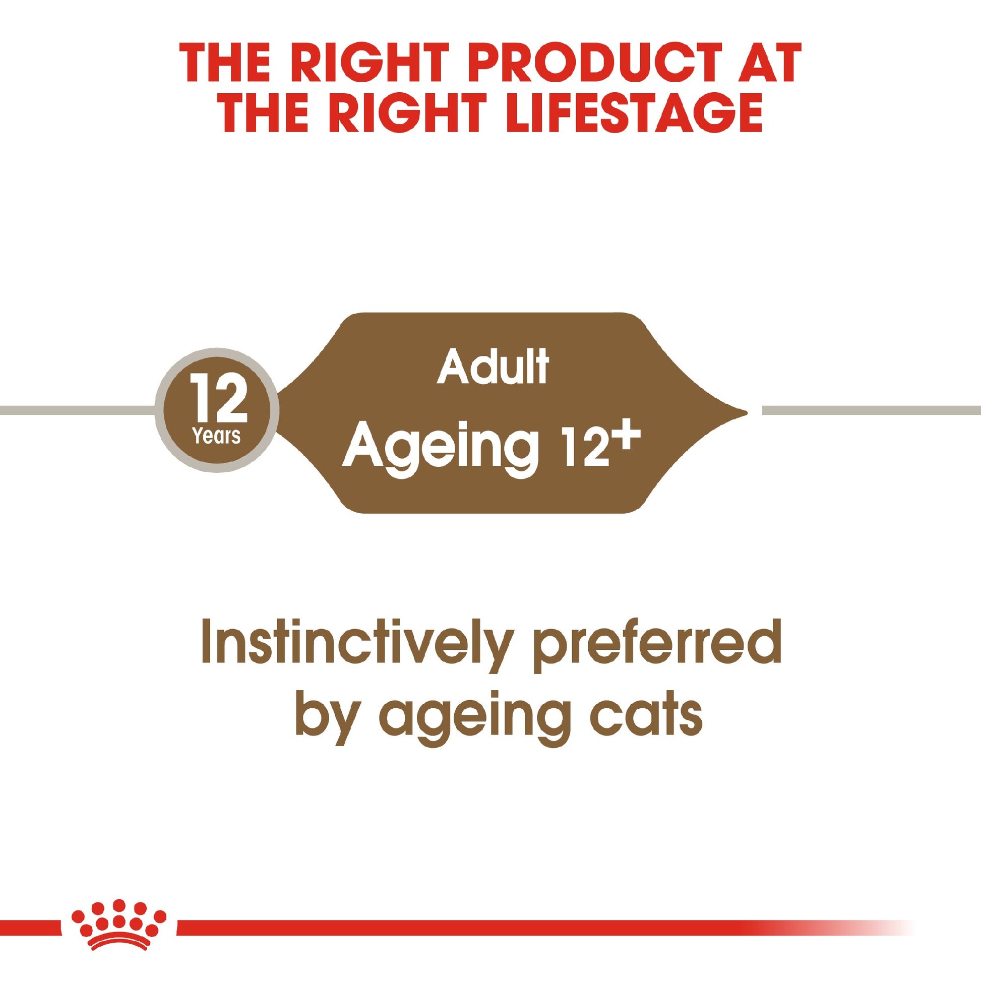 Royal Canin Cat Ageing 12+ Jelly 85g Pouch