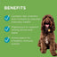 Paws Wellness & Vitality 60 Chews