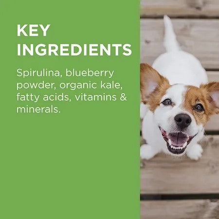 Paws Wellness & Vitality 60 Chews