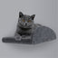 Pryde Pets Cat Climber Long Shelf Facade Add-On Charcoal