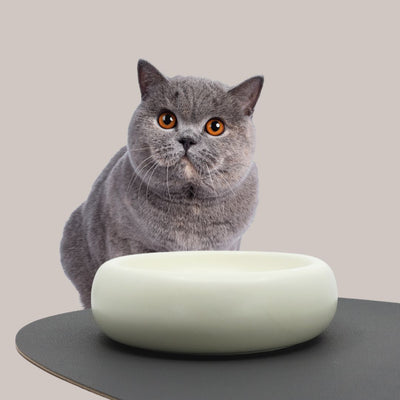 Pryde Pets Ceramic Dining Bowl - Standard Eggshell