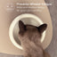 Pryde Pets Ceramic Dining Bowl - Standard Eggshell