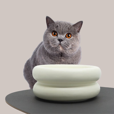 Pryde Pets Ceramic Dining Bowl - Elevated Eggshell
