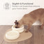 Pryde Pets Ceramic Dining Bowl - Elevated Eggshell