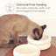 Pryde Pets Ceramic Dining Bowl - Elevated Eggshell