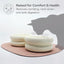 Pryde Pets Ceramic Dining Bowl - Elevated Eggshell