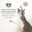 Pryde Pets Claw-some Felt Wool Balls (Set of 5) Charcoal / Oatmeal