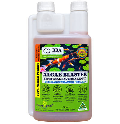 Algae Blaster (Liquid Solution) [Sz:1Ltr]