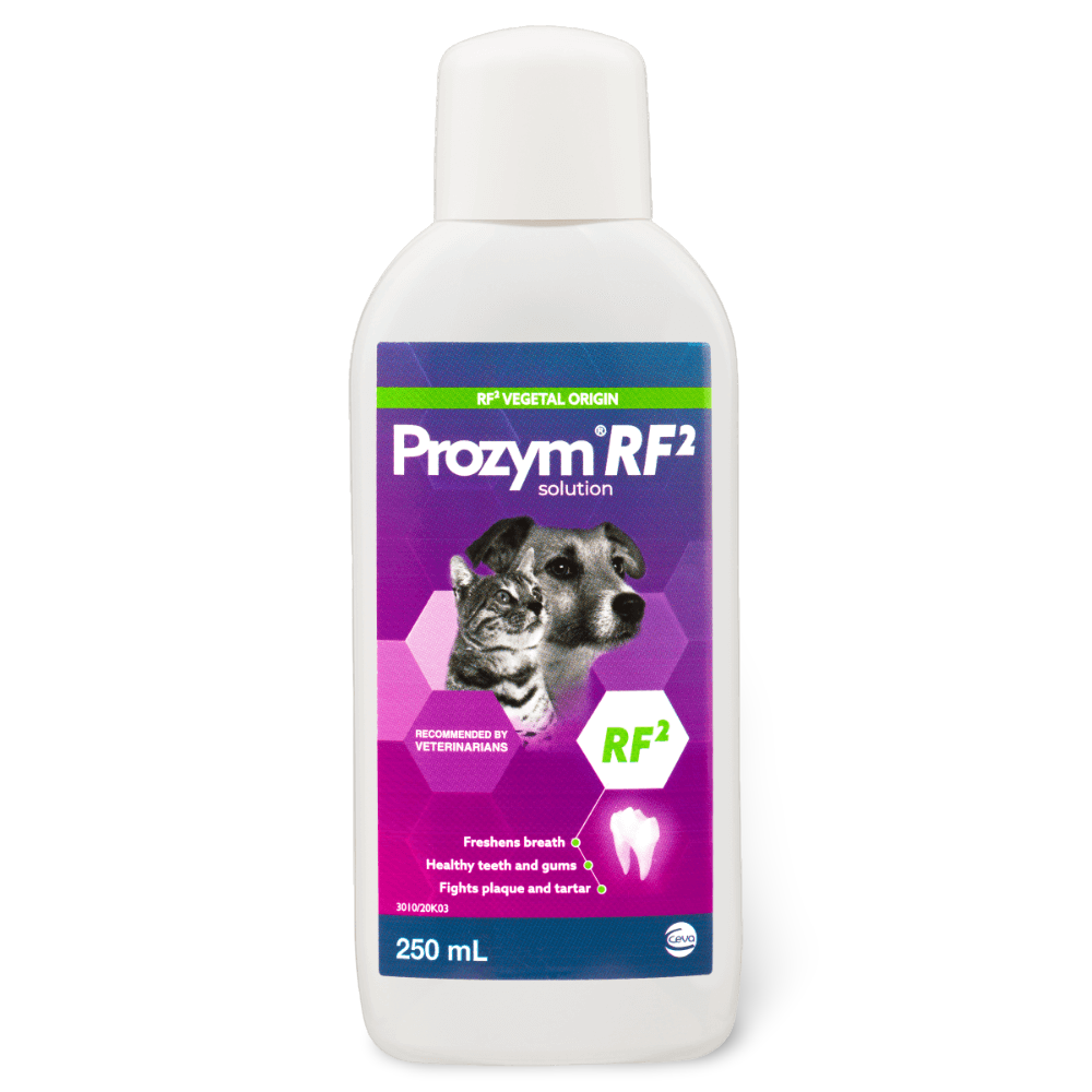 Prozym Solution