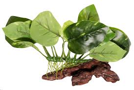 Aqua One Plastic Plant Garden On Wood  extra small