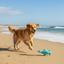 Pet One Dog Toy Splash Squeaky Hammerhead Shark 30.5cmL