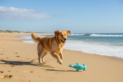 Pet One Dog Toy Splash Squeaky Hammerhead Shark 30.5cmL