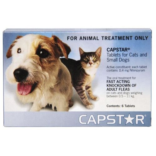Capstar Cat /S ml Dog