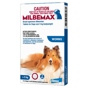 Buy Broad Spectrum Worming Tablets for Dogs | Milbemax for  Dogs  Over 5kg Bodyweight
