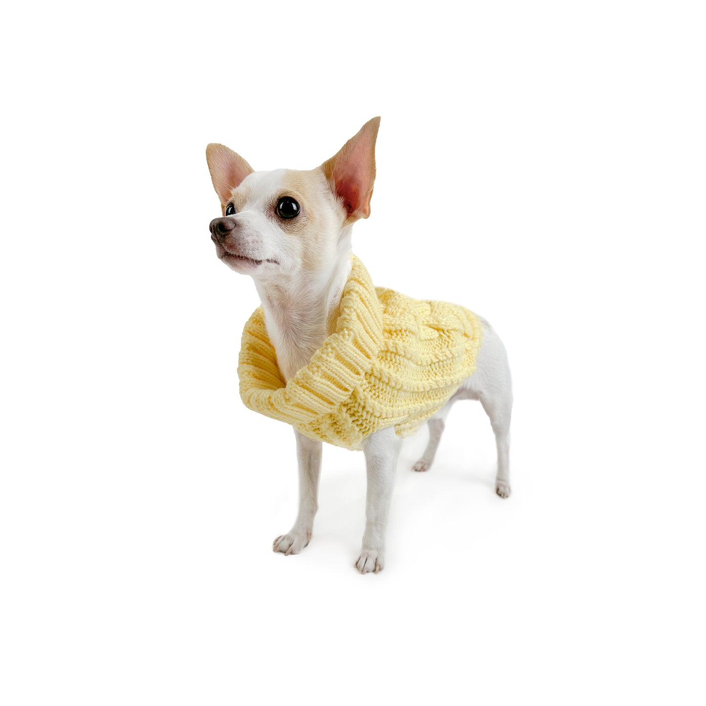 Huskimo Dog Jumper Cali Knit Buttercup [Sz:22cm]