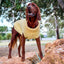 Huskimo Dog Jumper Cali Knit Buttercup [Sz:27cm]