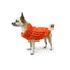 Huskimo Dog Jumper Cali Knit Tangerine [Sz:22cm]