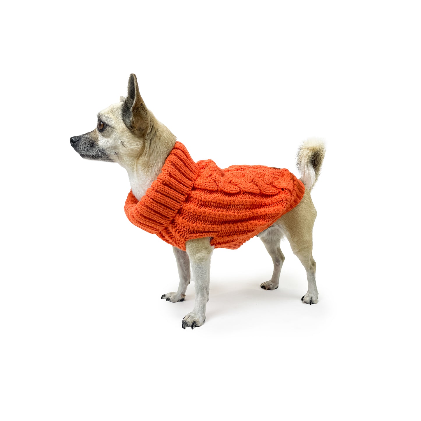 Huskimo Dog Jumper Cali Knit Tangerine [Sz:22cm]