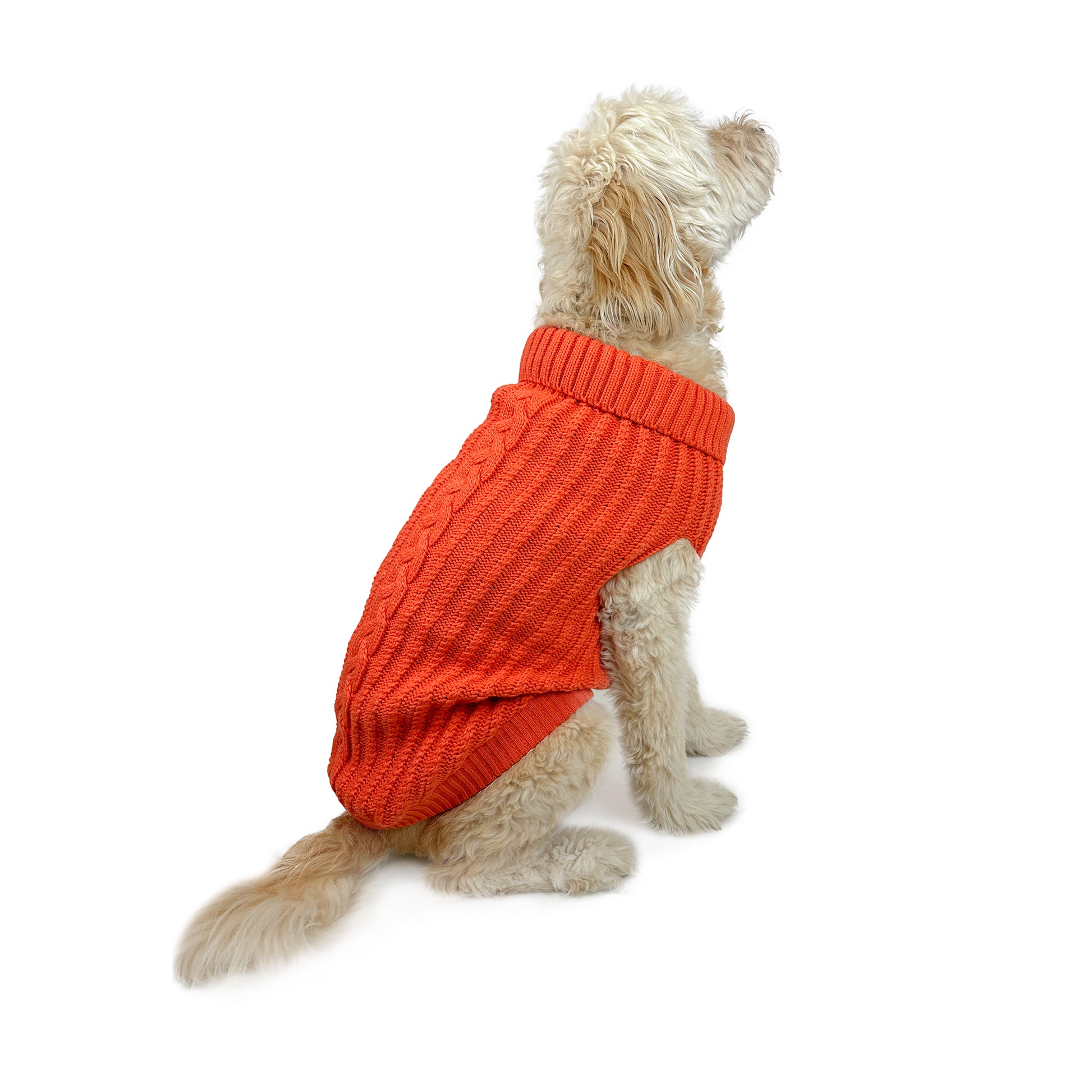 Huskimo Dog Jumper Cali Knit Tangerine [Sz:22cm]