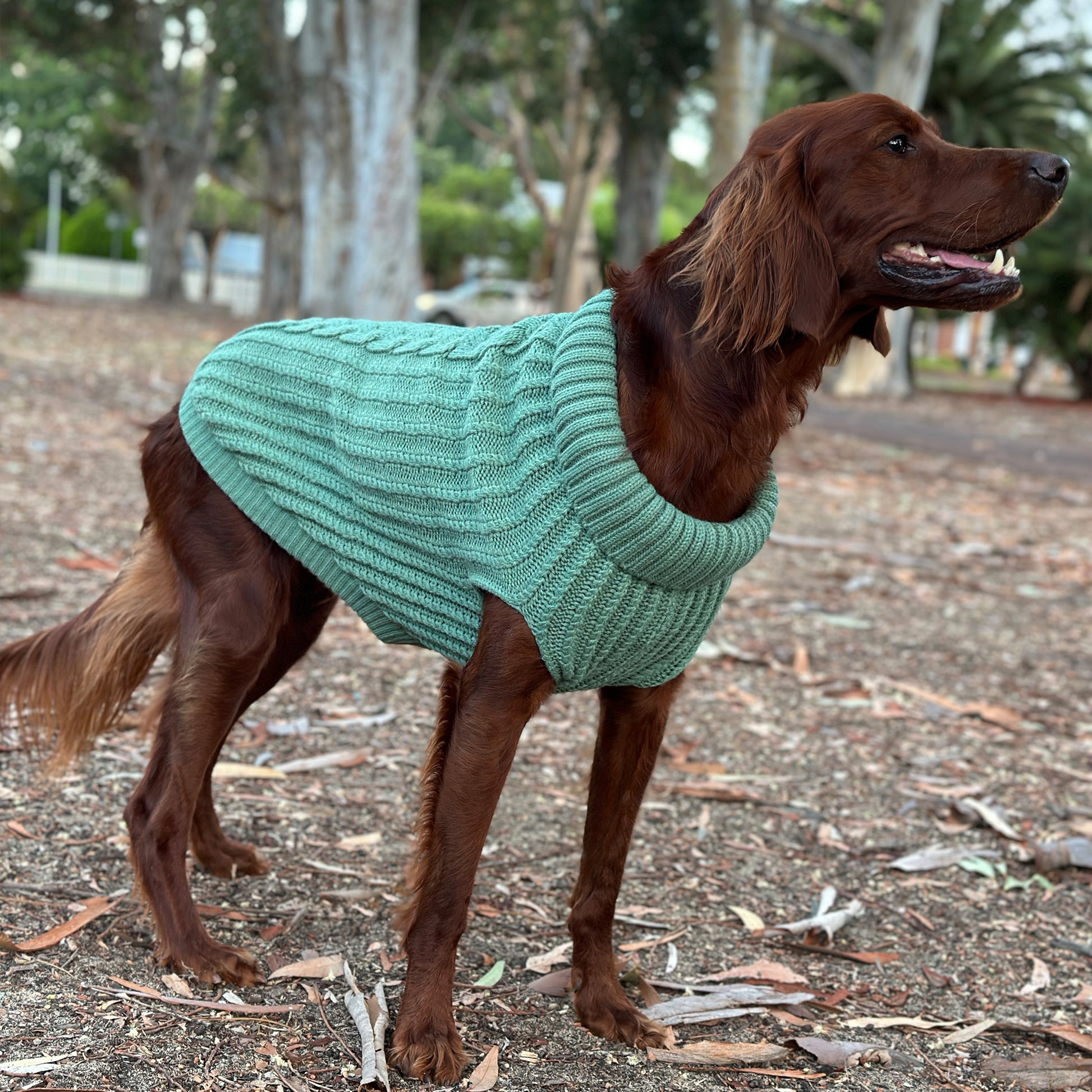 Huskimo Dog Jumper Cali Knit Gumtree [Sz:22cm]