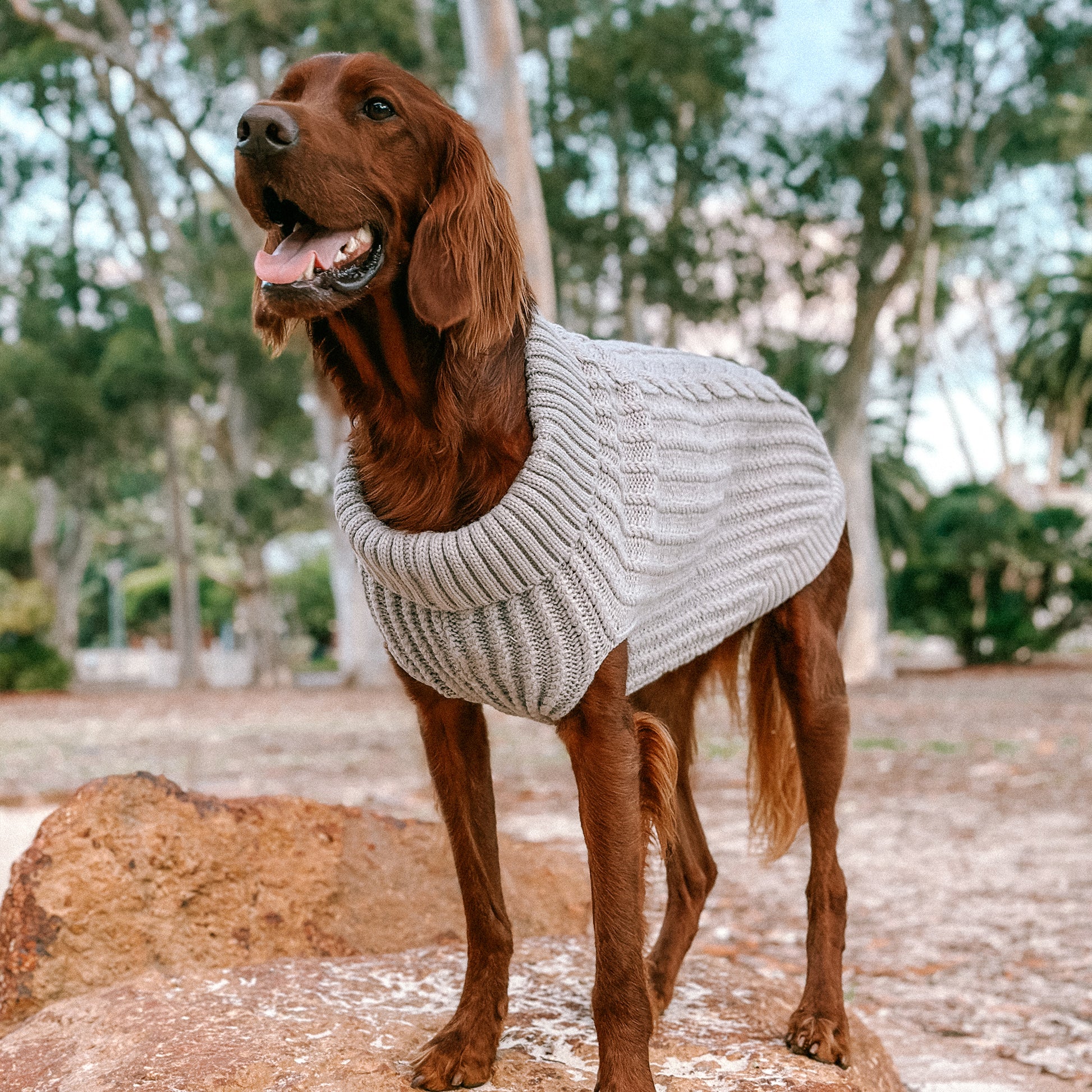 Huskimo Dog Jumper Cali Knit Fog Grey [Sz:22cm]