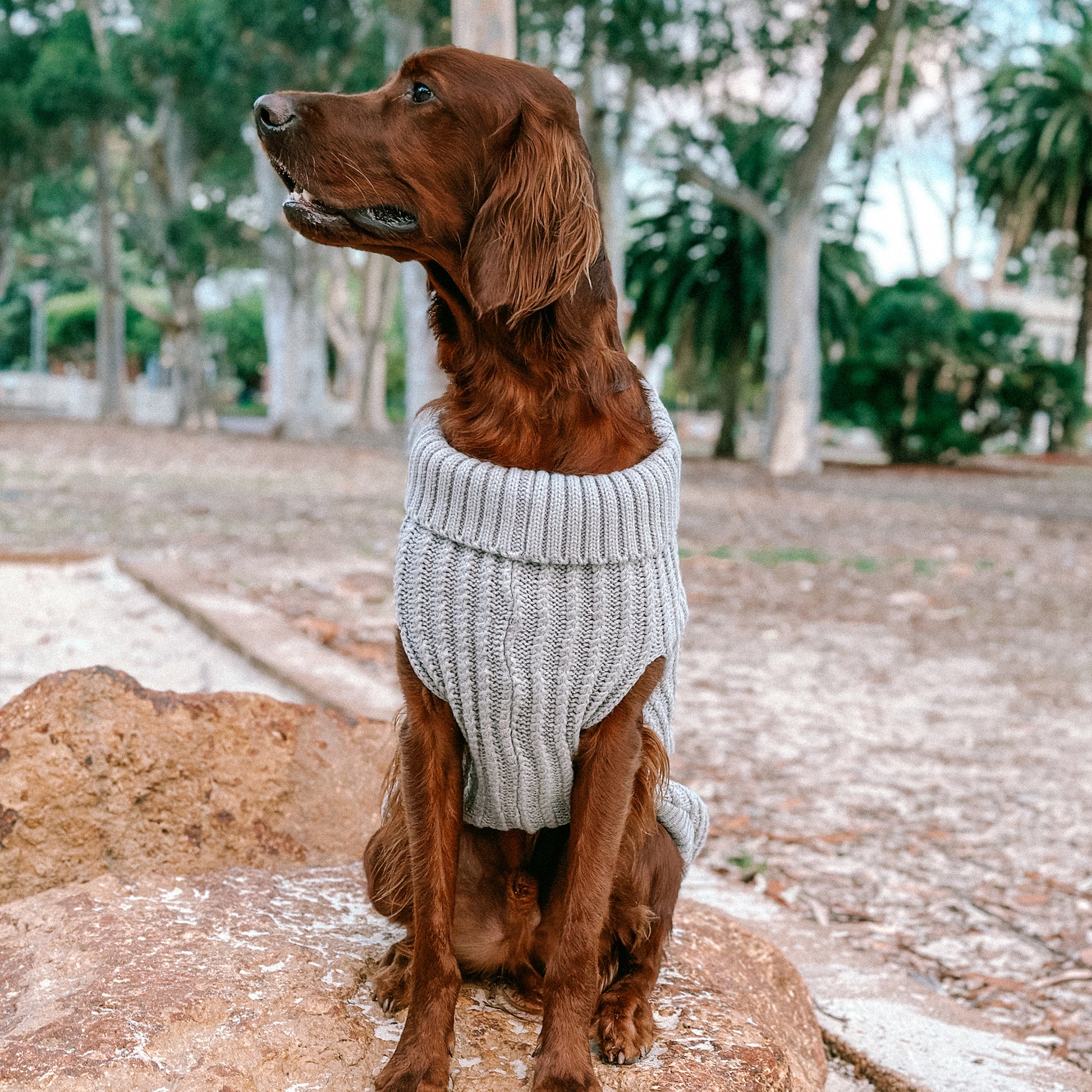 Huskimo Dog Jumper Cali Knit Fog Grey [Sz:22cm]