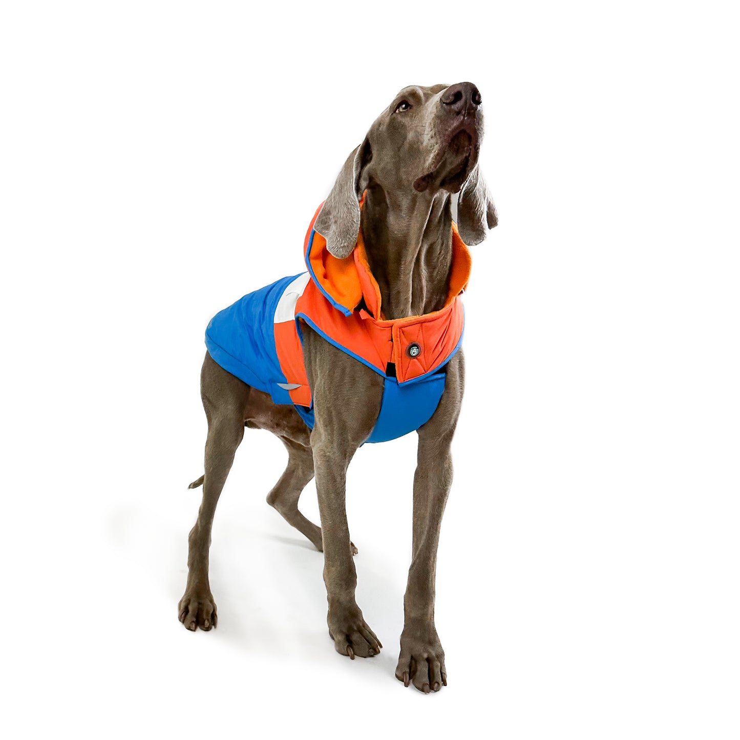 Huskimo Coat Snowparka Orange [Sz:27cm]