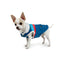 Huskimo Dog Coat Lightning Bolt Blue [Sz:27cm]