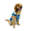 Huskimo Dog Coat Lightning Bolt Blue [Sz:27cm]