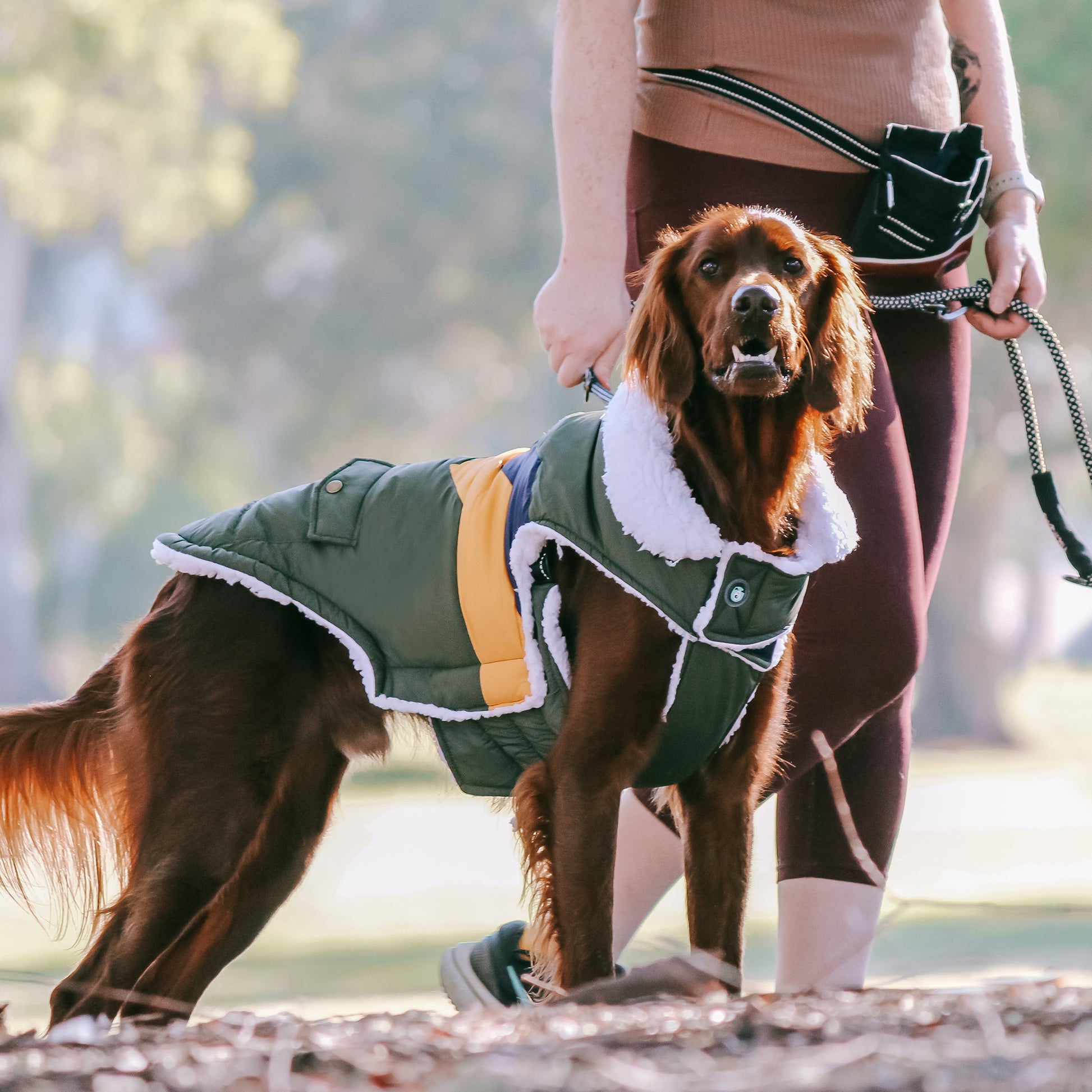 Huskimo Dog Coat Lightning Bolt Olive [Sz:27cm]