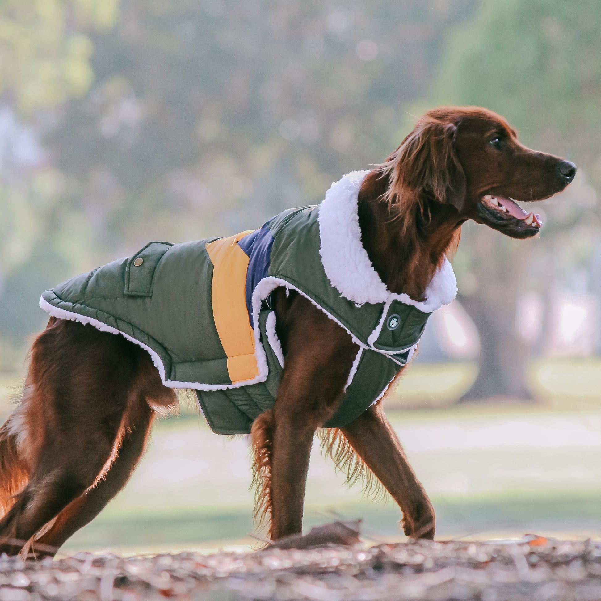 Huskimo Dog Coat Lightning Bolt Olive [Sz:27cm]